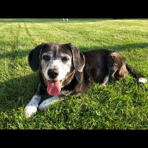 Meet your Posher, Amy